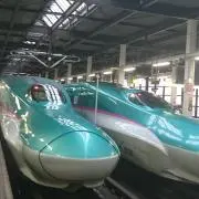 まめぞうの画像