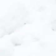 Ca
