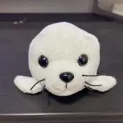 えけこの画像