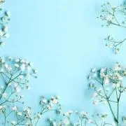 enenの画像