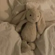 みみの画像