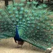 okitakunの画像