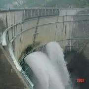 小太郎の画像
