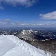 T・レックスの画像