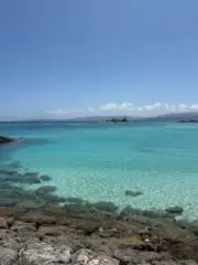かずきちの画像