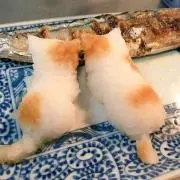 にゃんこさん