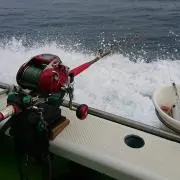 マー君