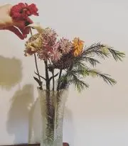 yの画像