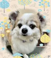 プータン☆プロフ必読☆の画像