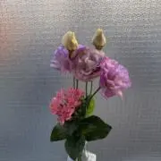 kn✦の画像