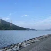 まゆみの画像