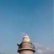 ななの画像
