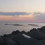 アリー