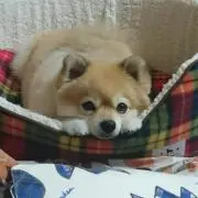 タク