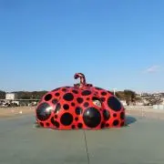 yamaの画像