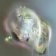 歯の画像