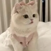 koko♡(プロフィール必読)の画像
