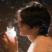 柏の画像