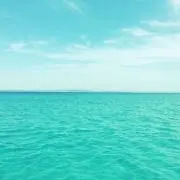 ぼすの画像