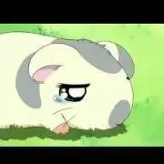 Malymoonマリームーン 逃げ水あむ着用 マリン 01フリルセーラーブル 楽天市場】[正規品]【即納】コスプレ マリン ブルー ホワイト パープル