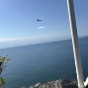 ももいちごの画像