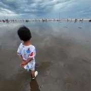 Macyの画像
