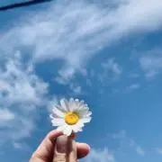 ジェインす