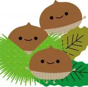シルバの画像