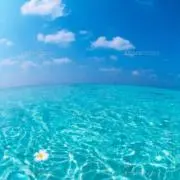 冴子の画像