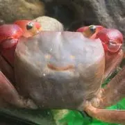 Seeyou!の画像