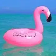 小豆モナカの画像