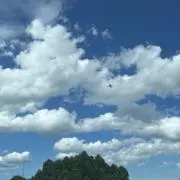 えまの画像