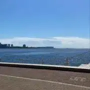 ゆーちゃんの画像