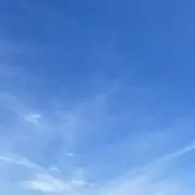 Qの画像