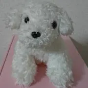 りん☆の画像