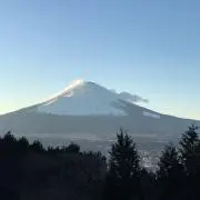 たんたんの画像