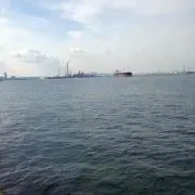樹