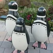 うさの画像