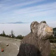 おいしいたけの画像