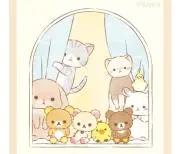 くまちゃんの画像