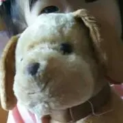 まちぽの画像