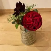 ブランの画像