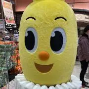 めの画像