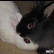 fuck my ilfe Flexwitme FWM 長袖 ポロシャツ M fuck my ilfe Flexwitme FWM 長袖 ポロシャツ M - メルカリ