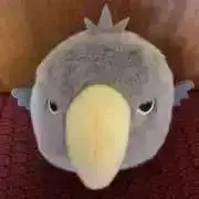 ハシビロコーの画像