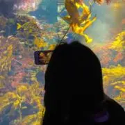 汐