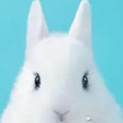 nepiaの画像