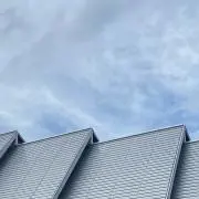 めめの画像