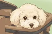 いつきママ