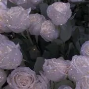 水の画像